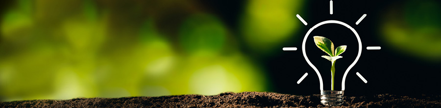 Sprouting plant surrounded by a lightbulb signifying innovation and growth.